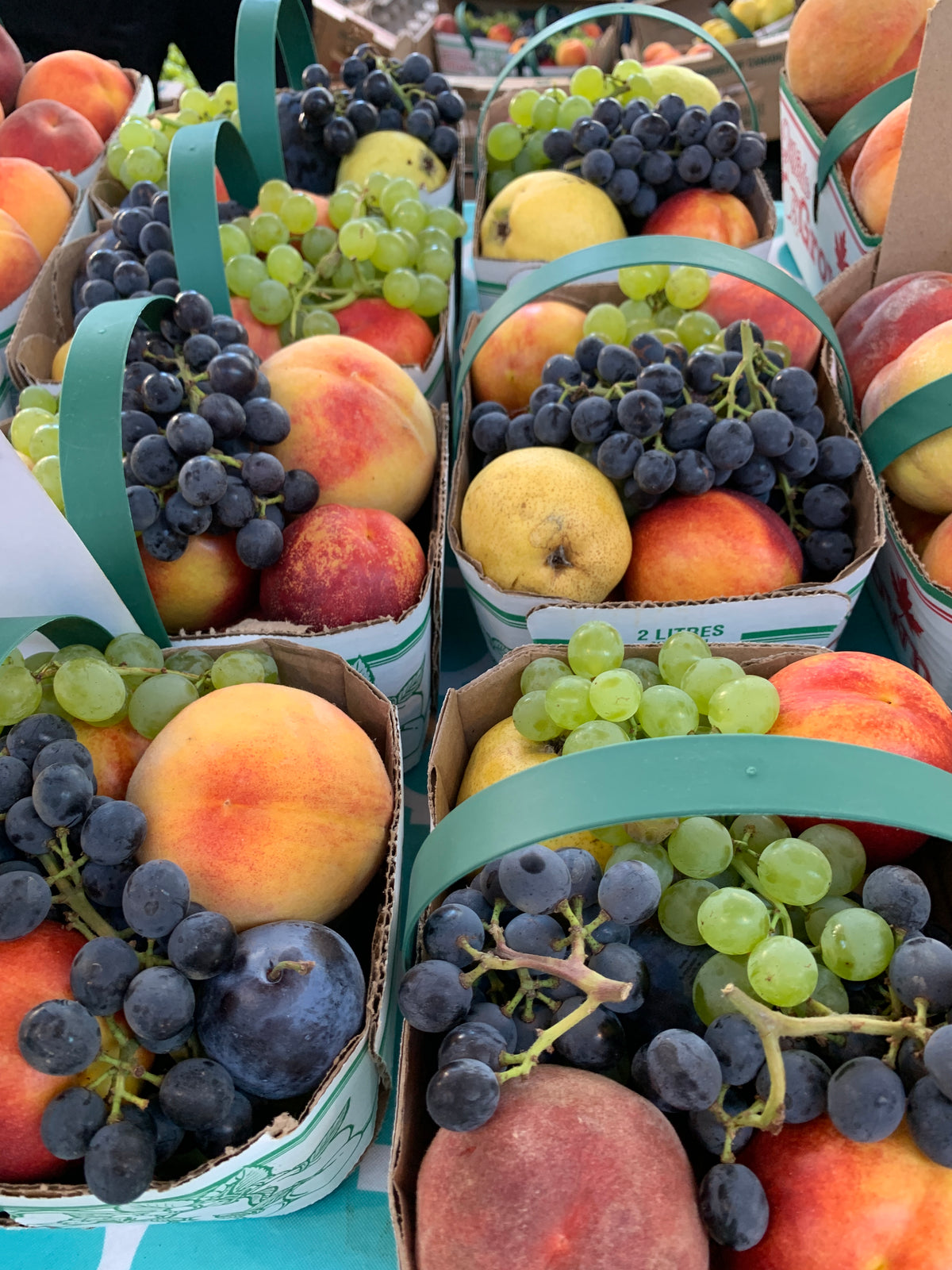 8. Fruitbelt Bundle